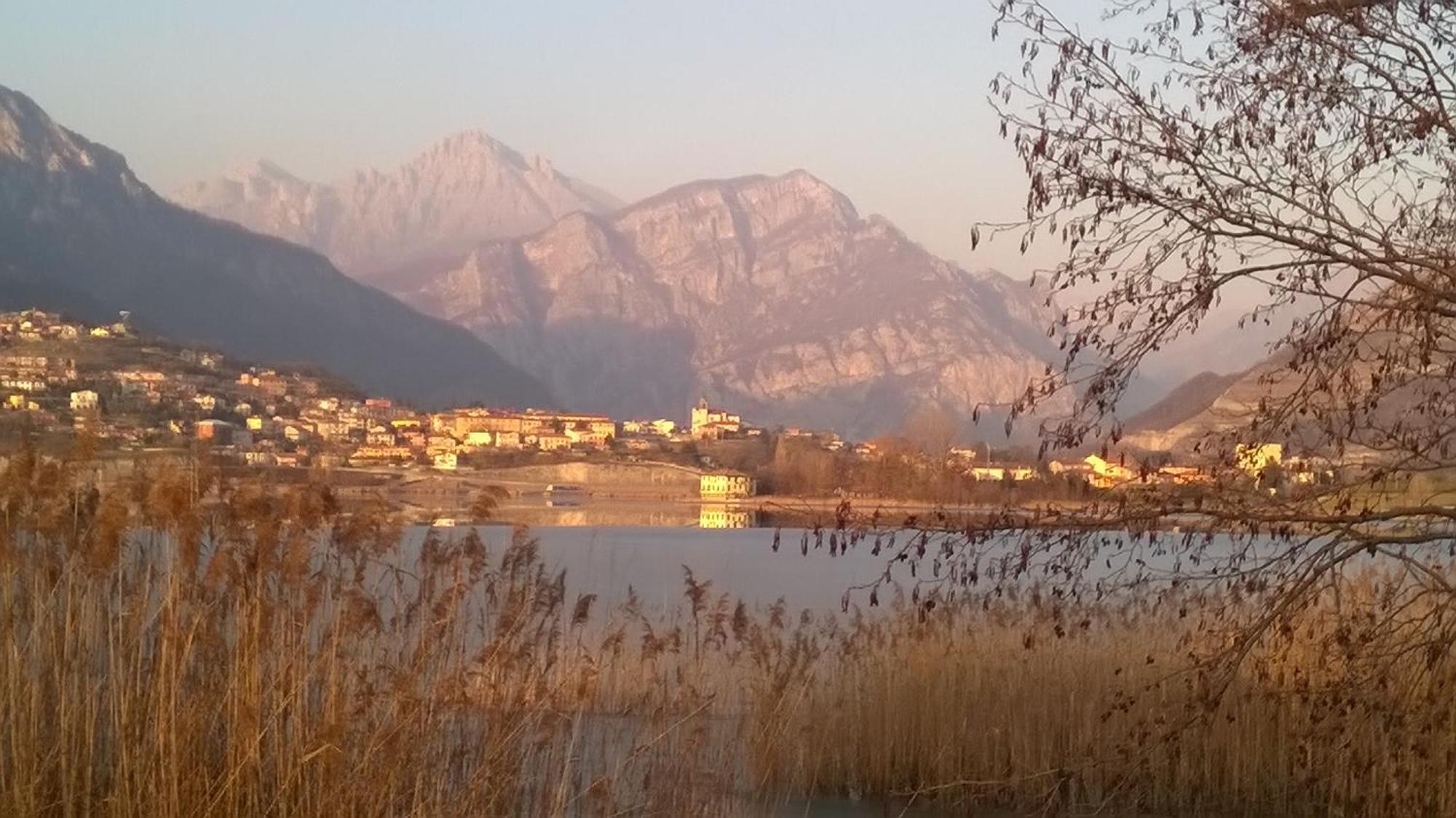 B&B Leon D'Oro Pusiano Bagian luar foto