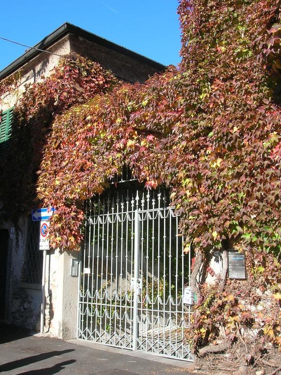 B&B Leon D'Oro Pusiano Ruang foto